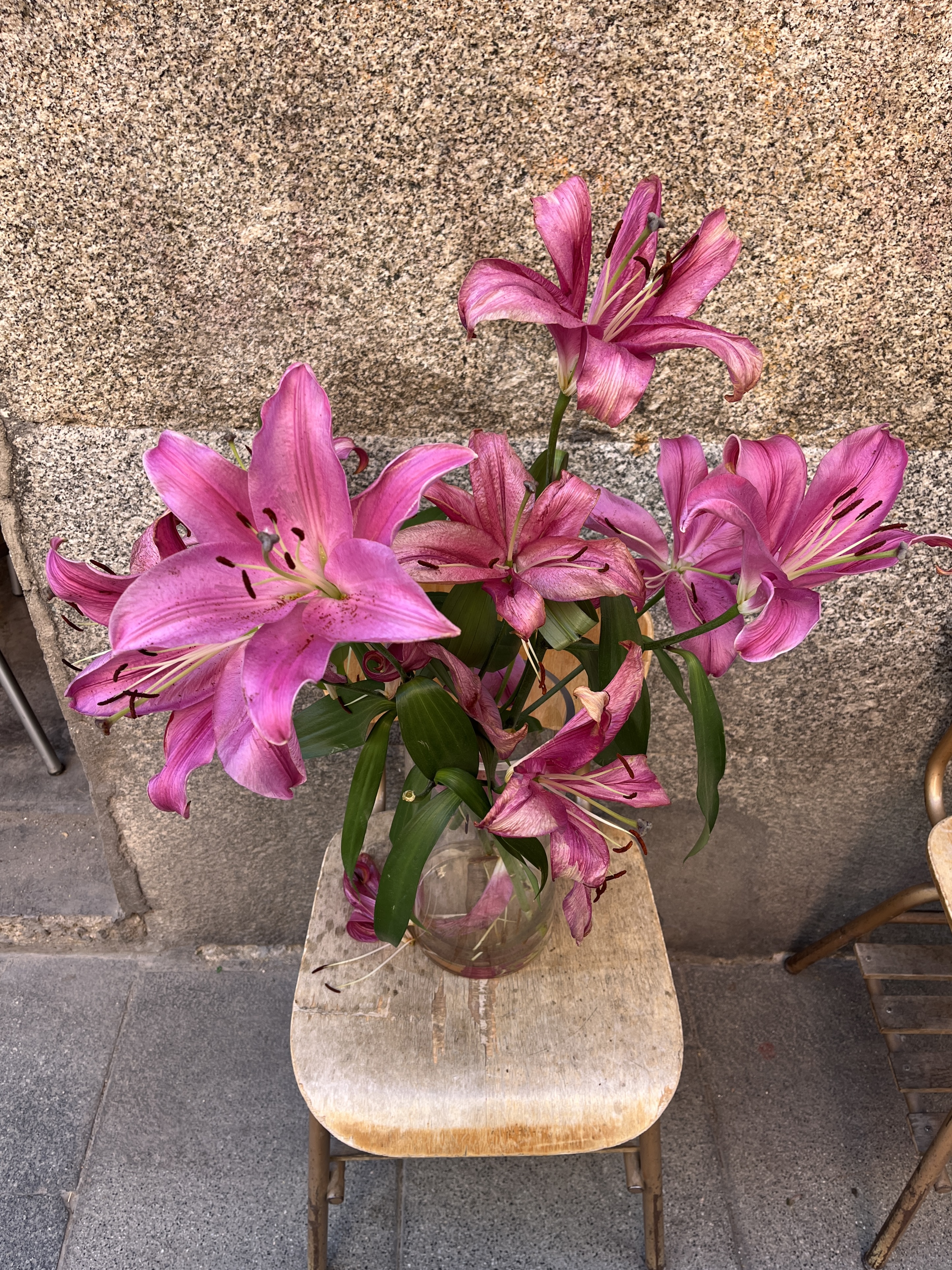 Pink lilies