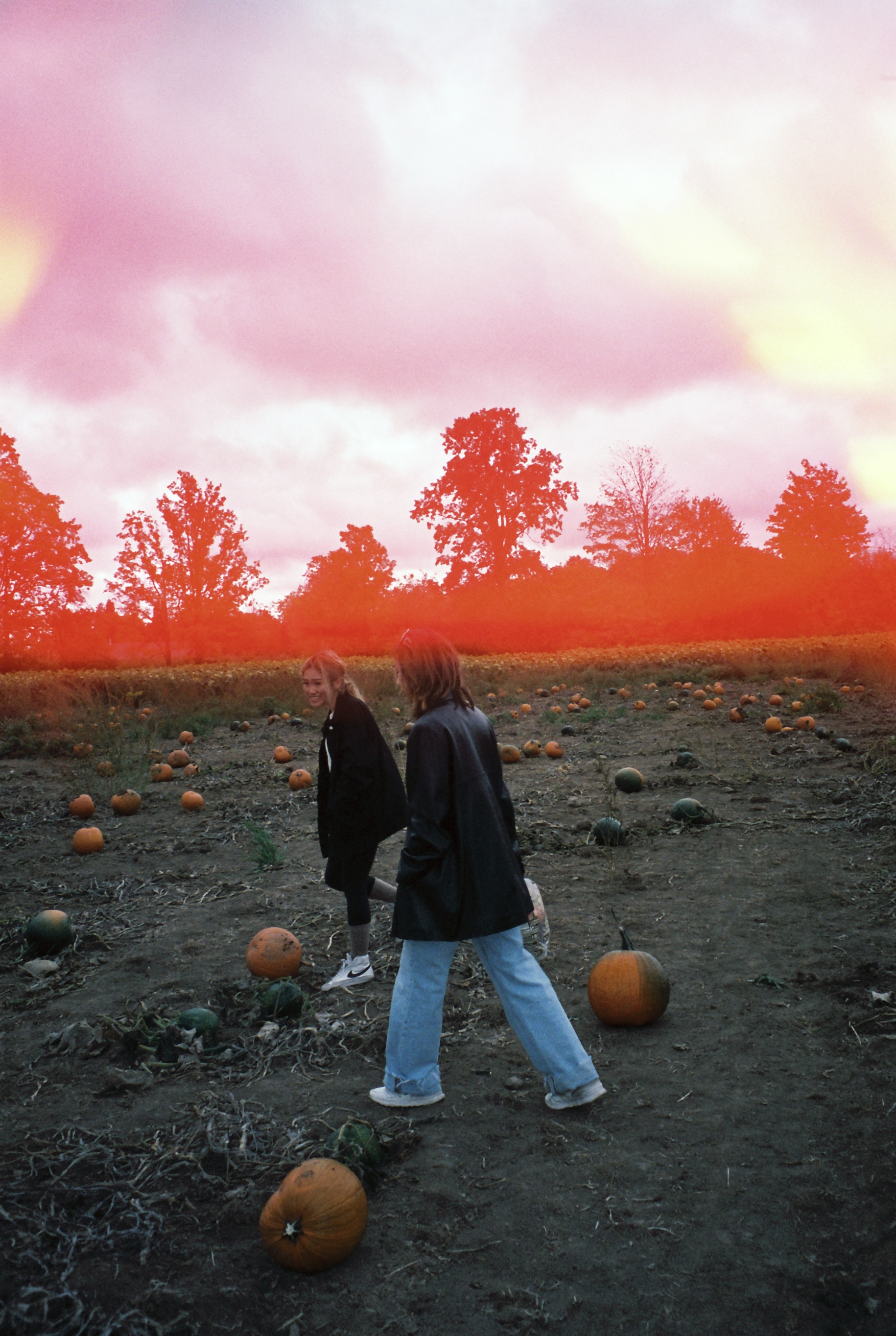 Pumpkin